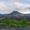 Bali Green coffee